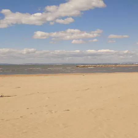 Grau Du Roi Floralies Ii Proche Parking Appartamento *